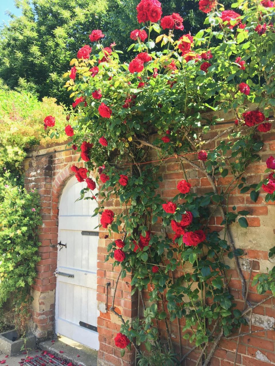 The Old Rectory B&B Kessingland Extérieur photo
